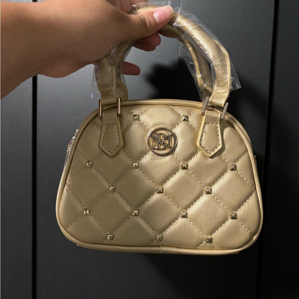 Badgley mischka mini bag